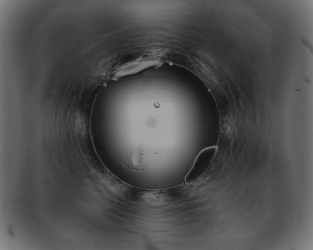X0000093360568200710111457