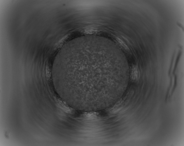 X0000093360569200710111457