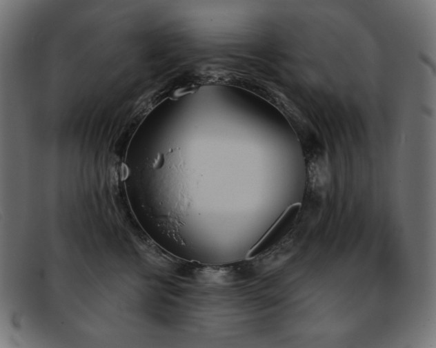 X0000093360570200710111457
