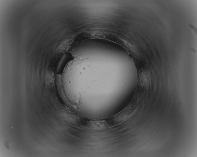 X0000093360571200710111457