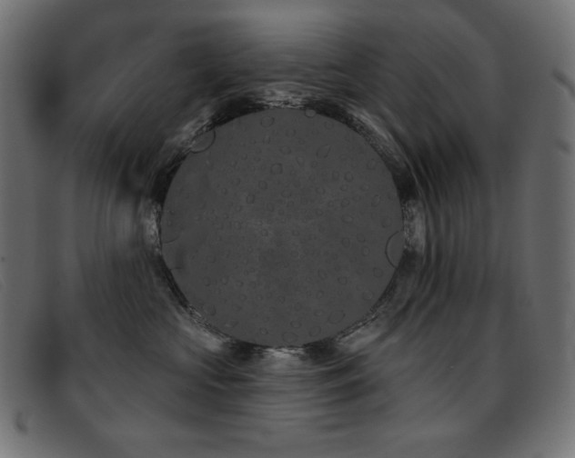 X0000093360573200710111457