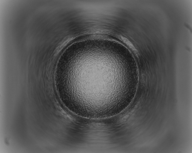 X0000093360577200710111456