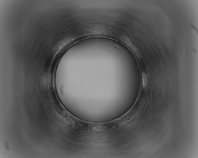 X0000093360579200710111456