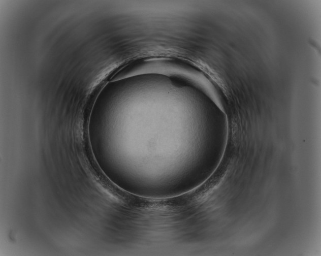 X0000093360581200710111456