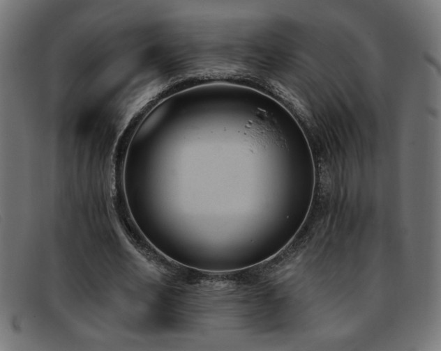 X0000093360582200710111456
