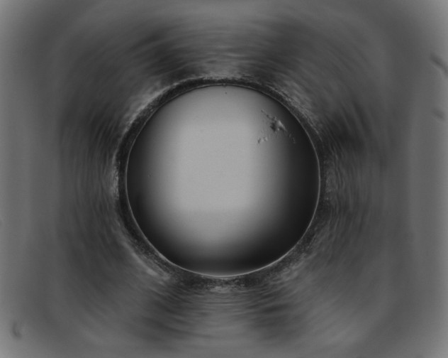 X0000093360584200710111456
