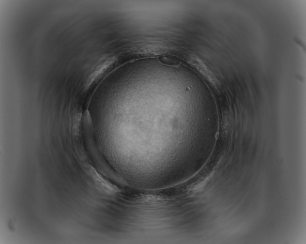 X0000093360585200710111456