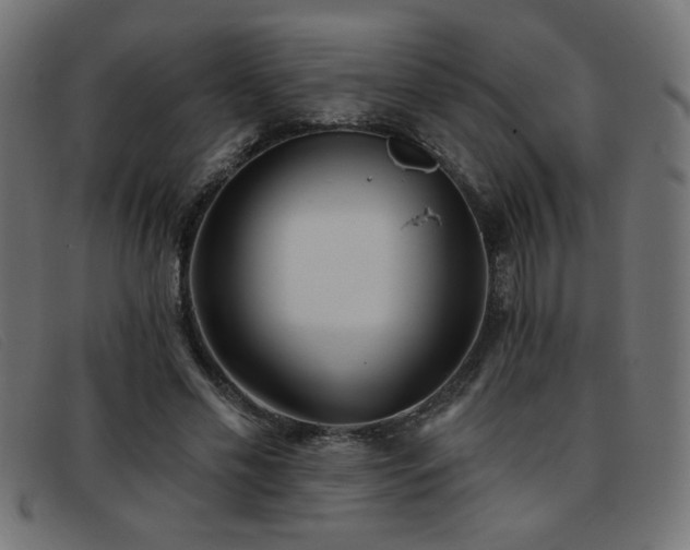 X0000093360589200710111456