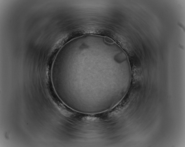 X0000093360590200710111456