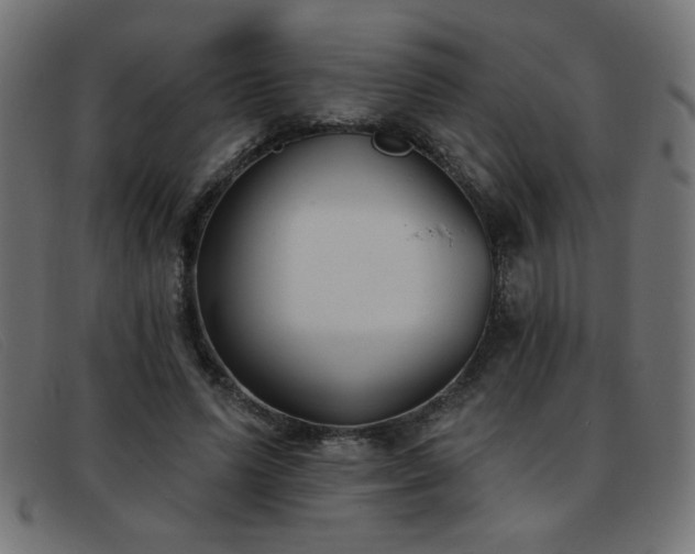 X0000093360591200710111456