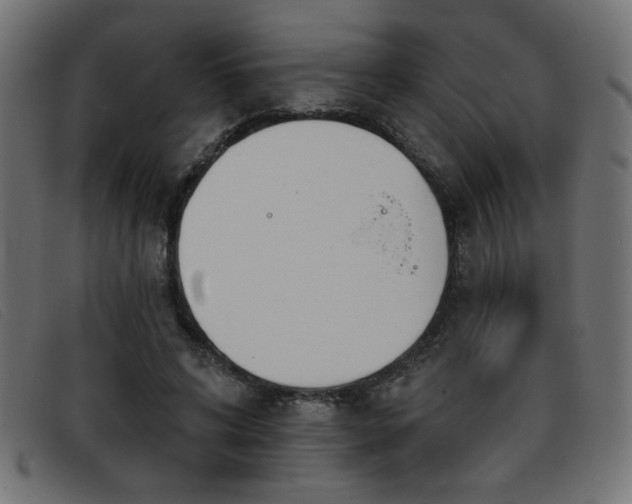 X0000093360592200710111456