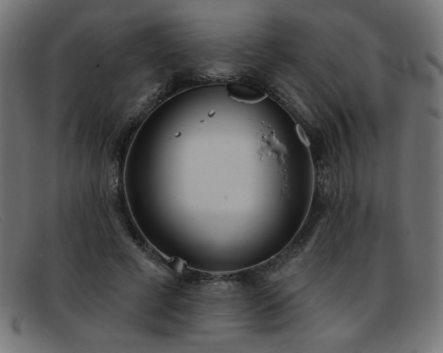 X0000093360593200710111456