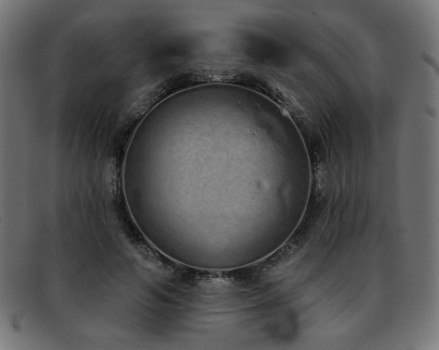 X0000093360594200710111456