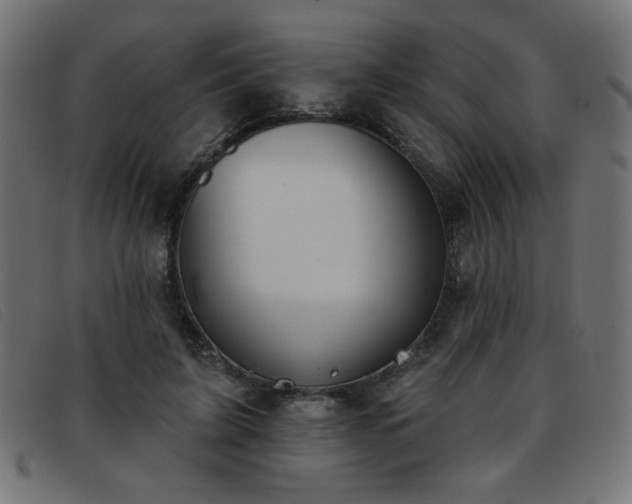 X0000093360595200710111456