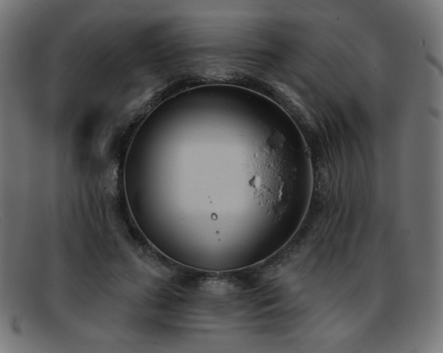 X0000093360596200710111456