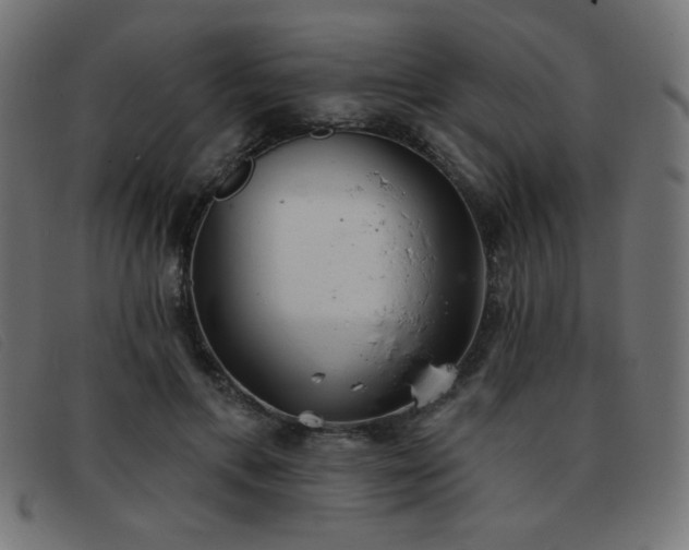 X0000093360597200710111456