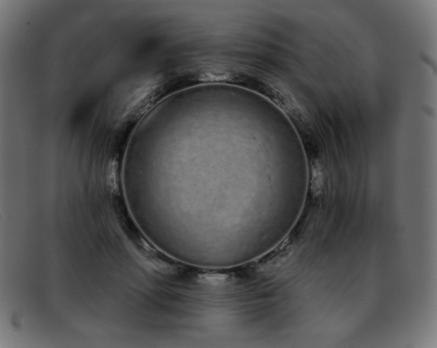 X0000093360598200710111456