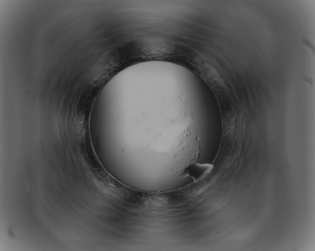 X0000093360599200710111456