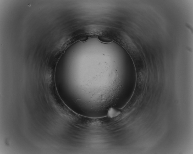 X0000093360600200710111456