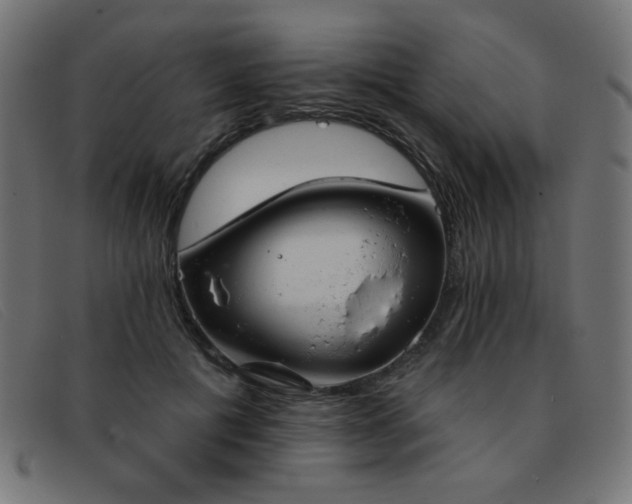 X0000093360601200710111456