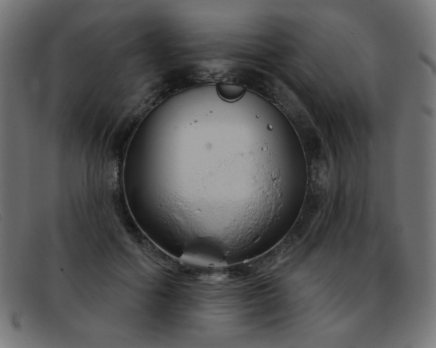 X0000093360602200710111456