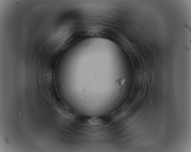 X0000093360603200710111456