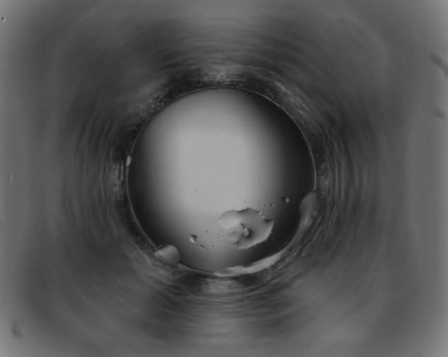 X0000093360605200710111456