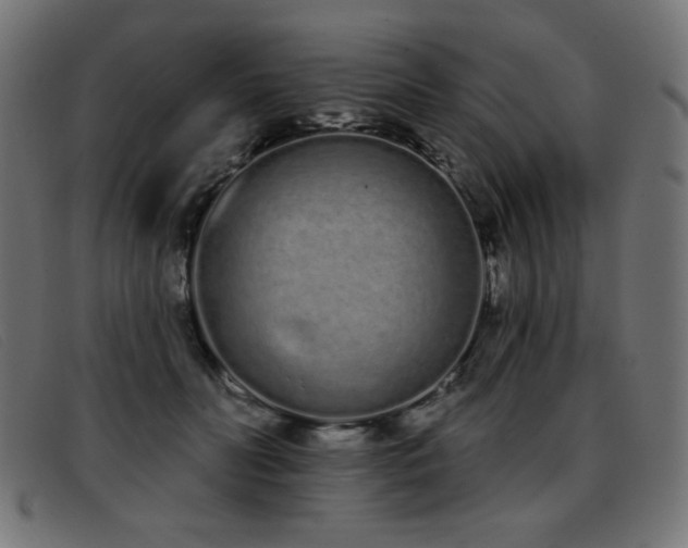 X0000093360606200710111456