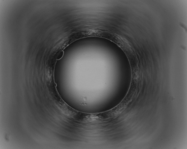 X0000093360607200710111456