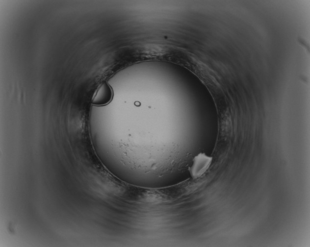 X0000093360608200710111456