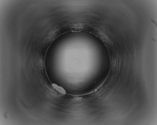 X0000093360609200710111456