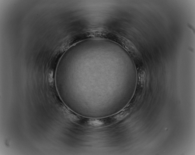 X0000093360610200710111456