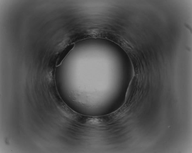 X0000093360611200710111456