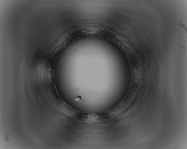 X0000093360612200710111456
