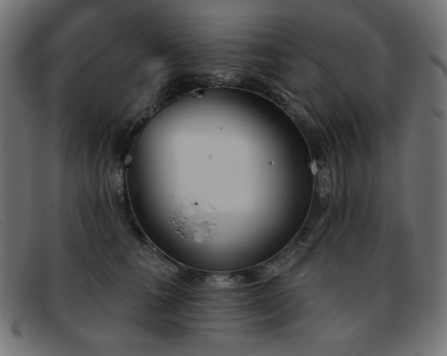 X0000093360613200710111456