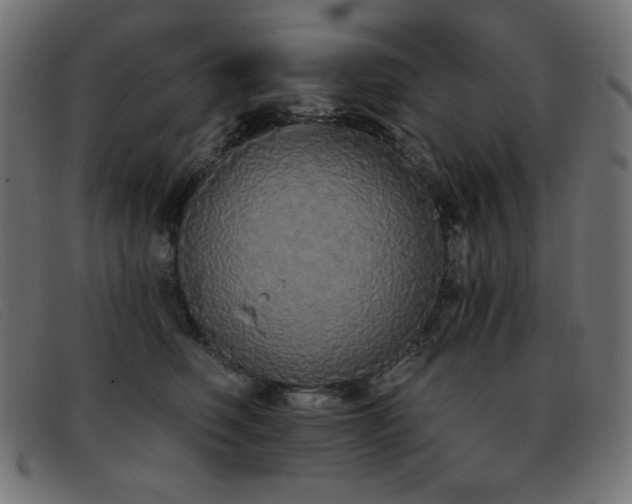 X0000093360614200710111456