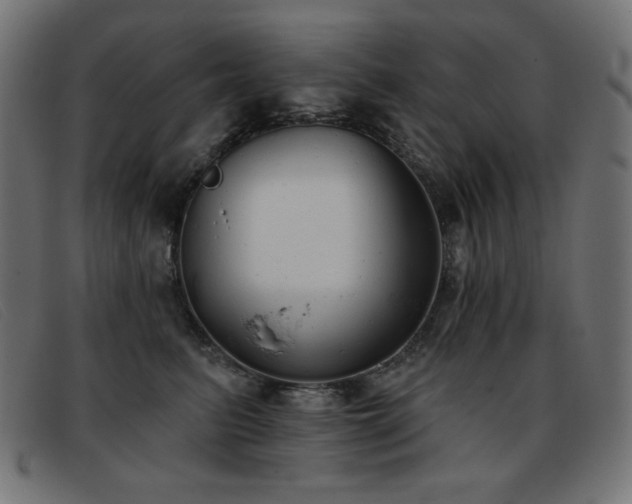 X0000093360615200710111456