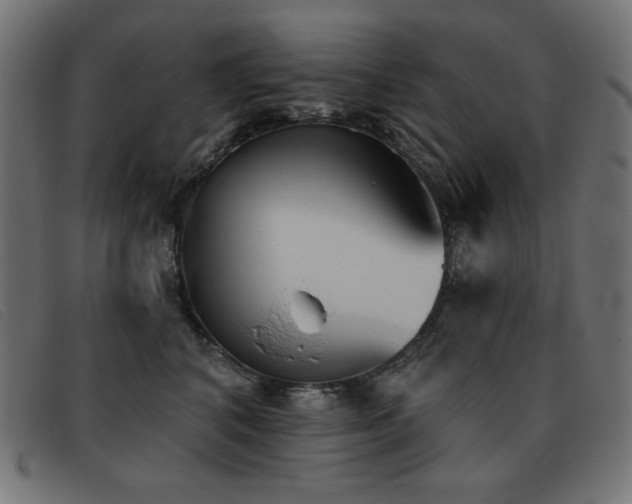 X0000093360616200710111456
