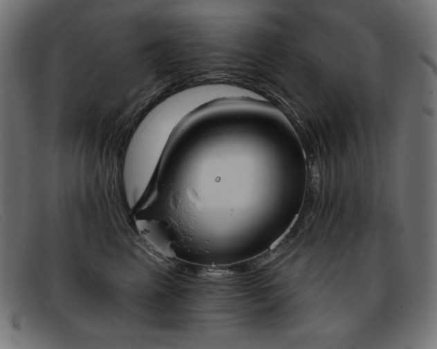 X0000093360617200710111456