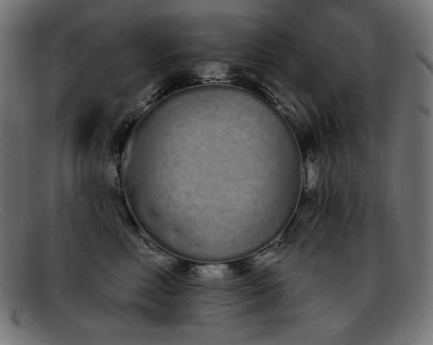 X0000093360618200710111456