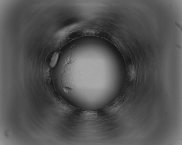 X0000093360619200710111456