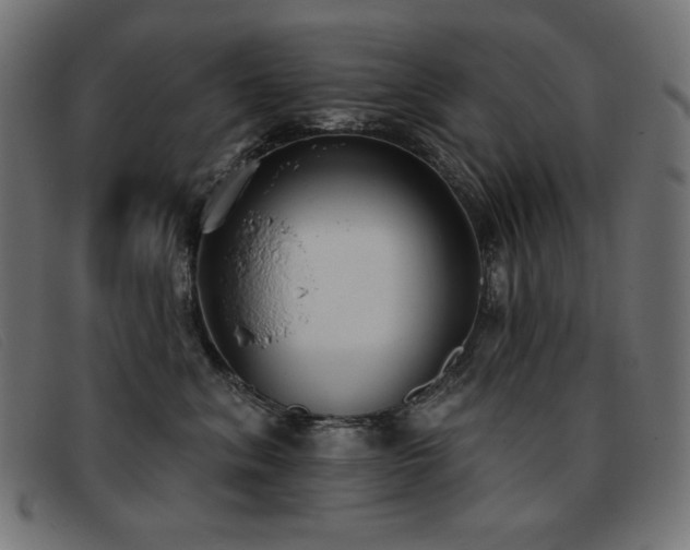 X0000093360620200710111456