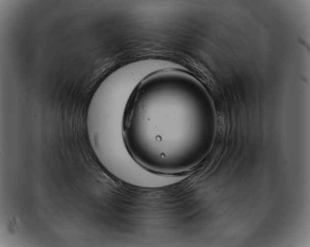 X0000093360621200710111456