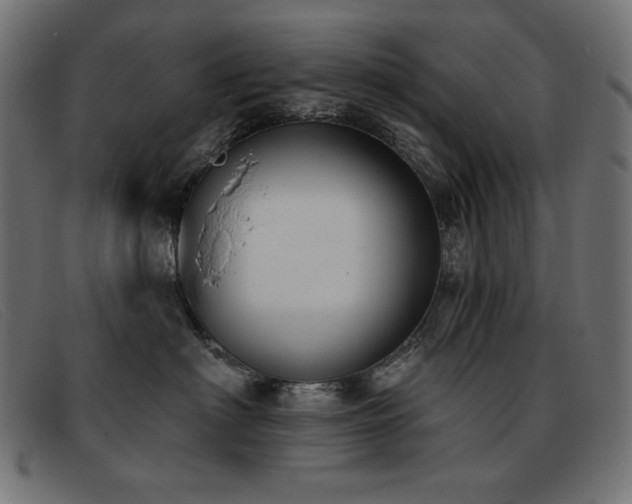 X0000093360622200710111456
