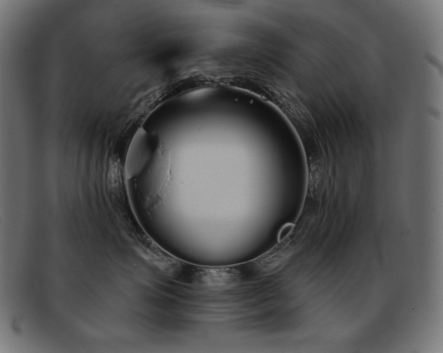 X0000093360623200710111456