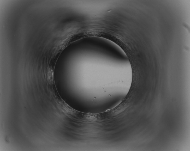 X0000093360624200710111456