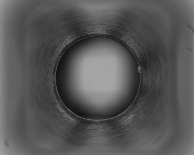 X0000093360625200710111455