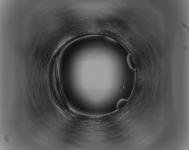 X0000093360626200710111455