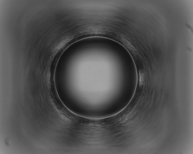 X0000093360627200710111455