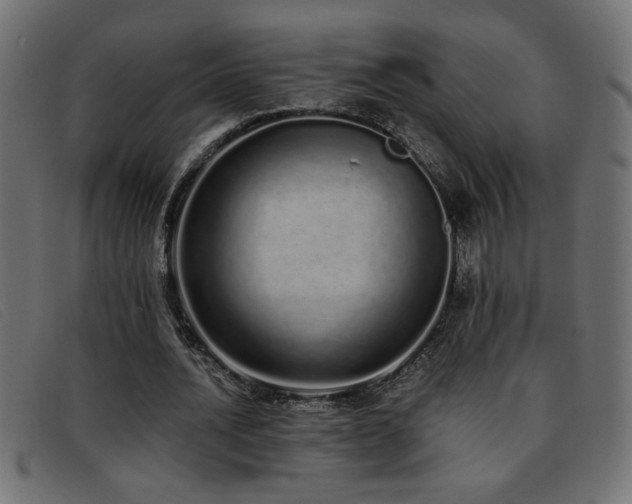 X0000093360628200710111455